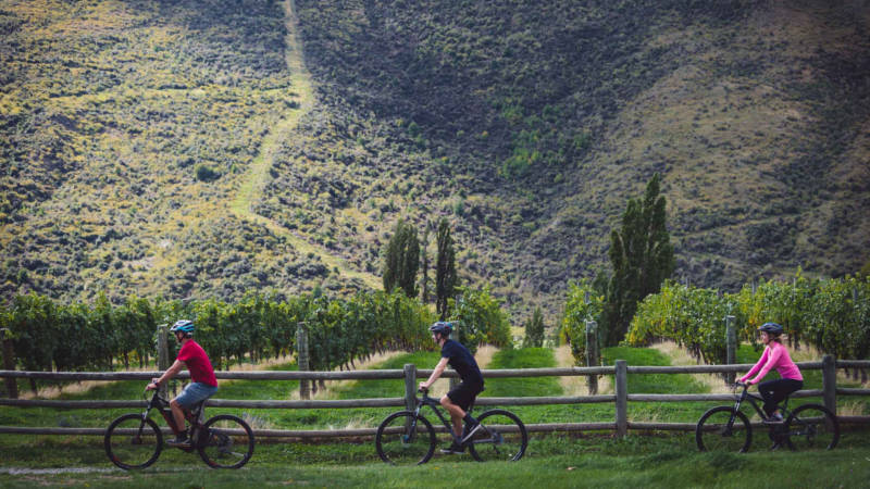 active winery tours queenstown nz
