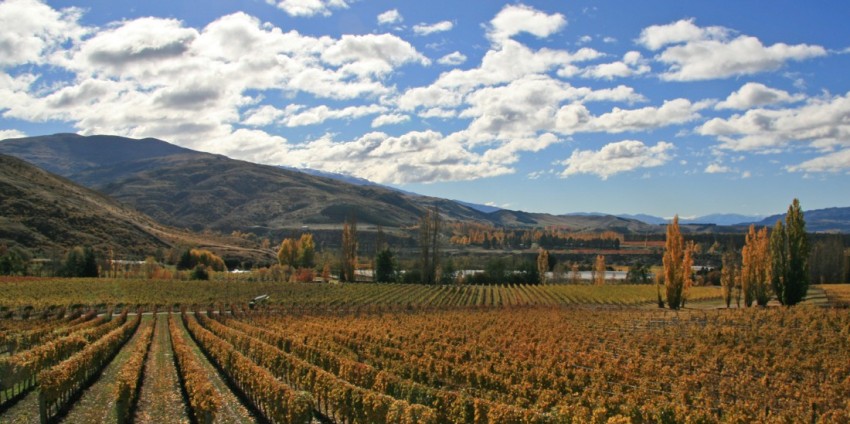 appellation central wine tours queenstown