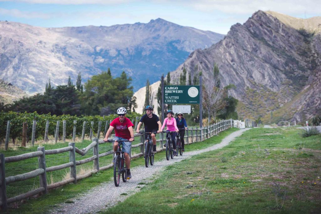 bike tours around queentown new zealand