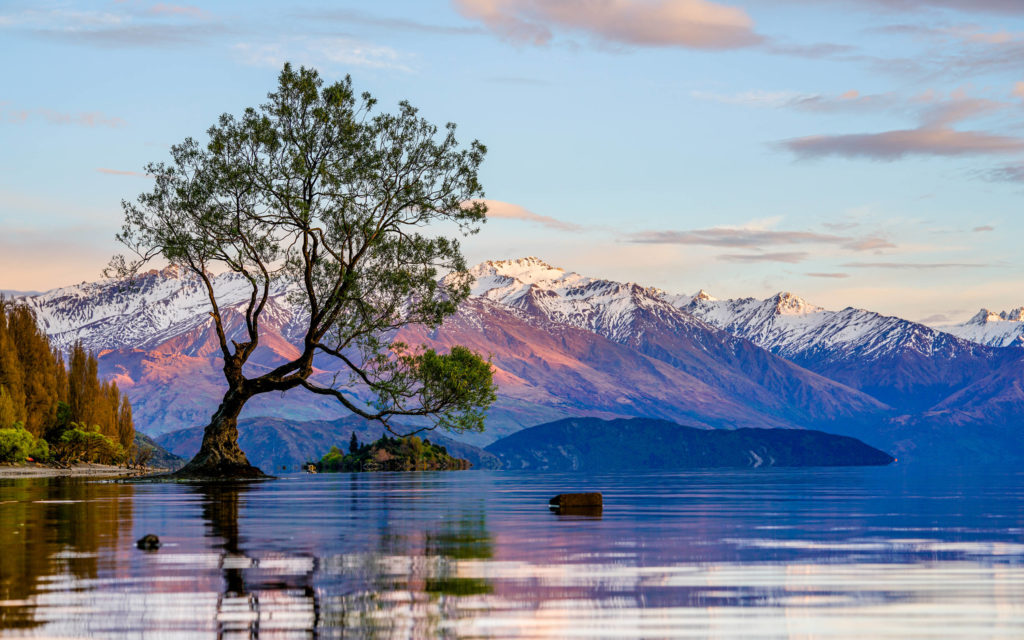 lake wanaka backpacker day tour