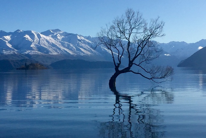 lake wanaka