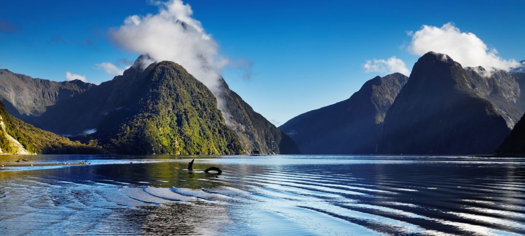 milford sound queenstown