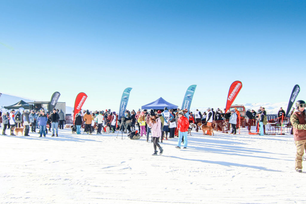 queenstown winterfest snow slopes
