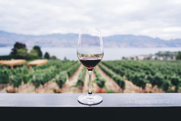 Backpacker Winery Tours Big Night Out 4